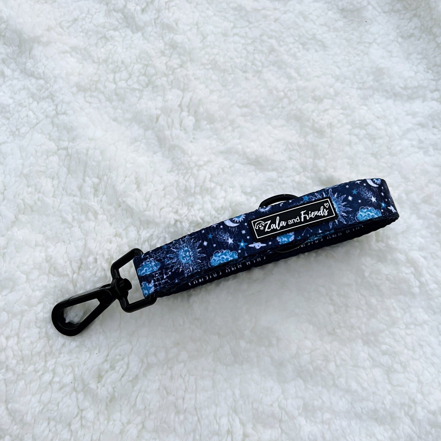 Starry Night: Leash