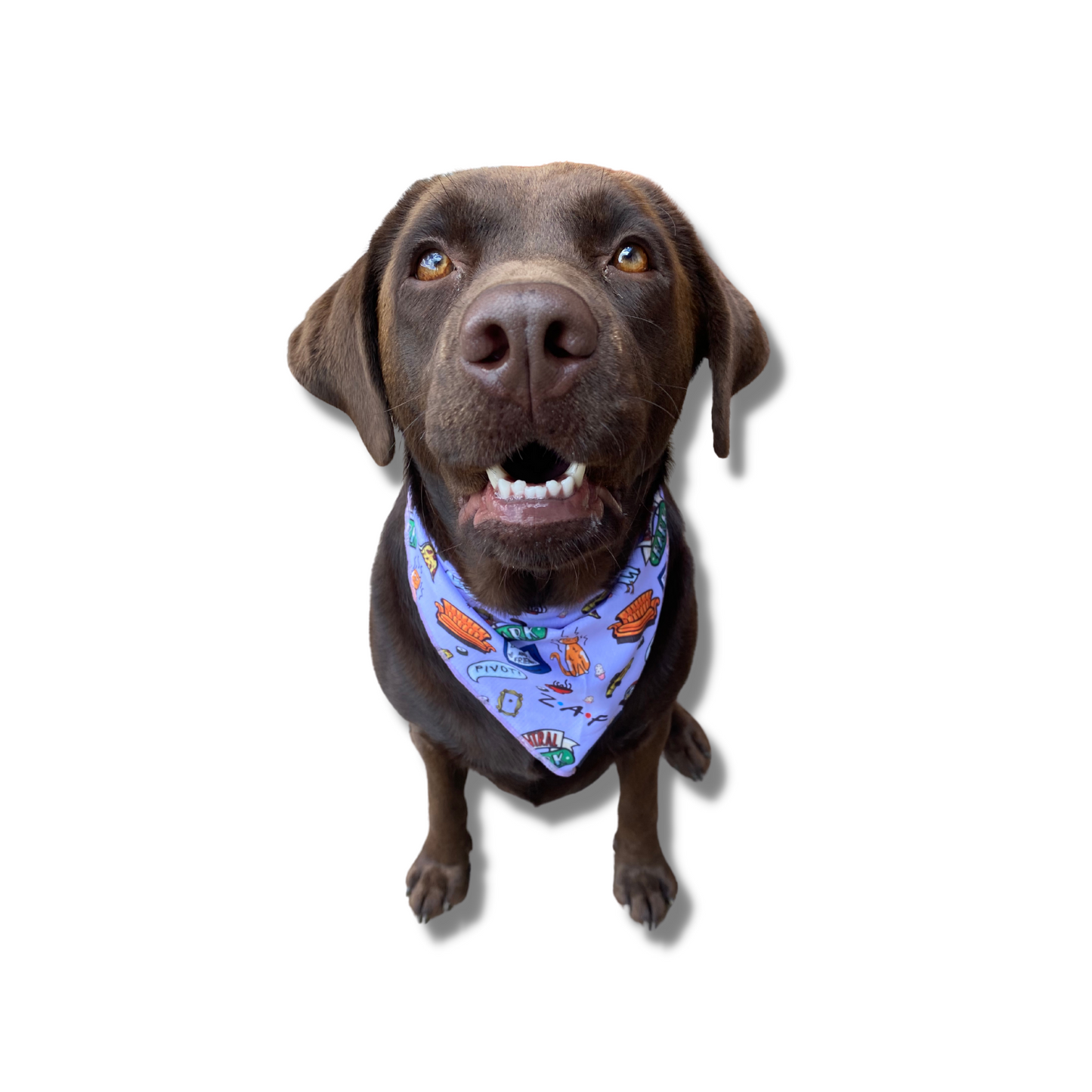WE WERE ON A BARK!: Bandana