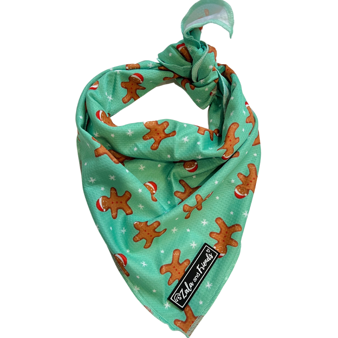 LAST SALE - Can't catch me! (CHRISTMAS EDITION): Bandana