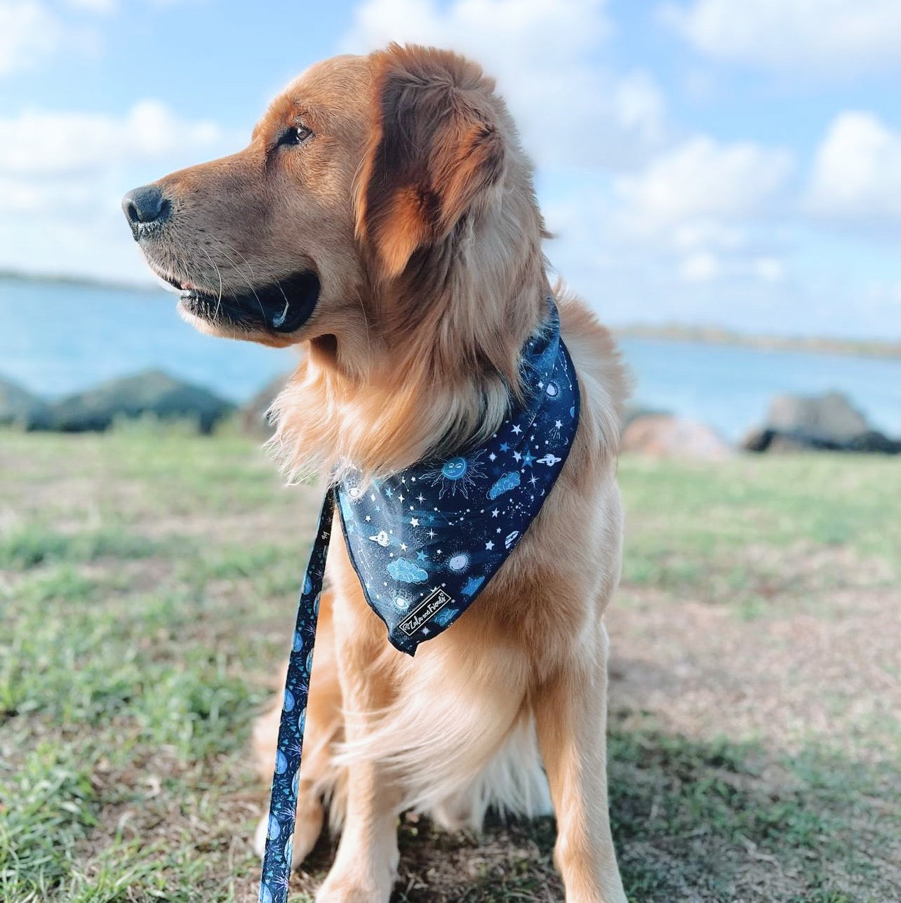 Starry Night: Bandana