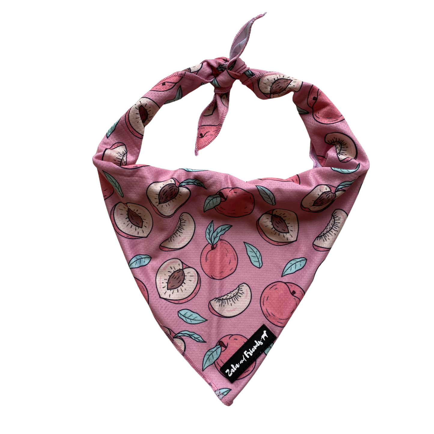 LAST SALE: Feelin' Fruity Bandana