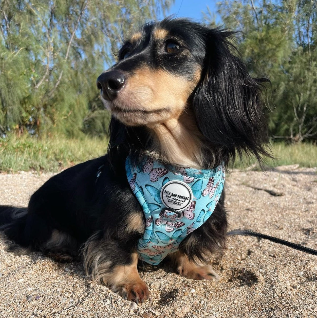 You Give Me Butterflies: Adjustable Harness