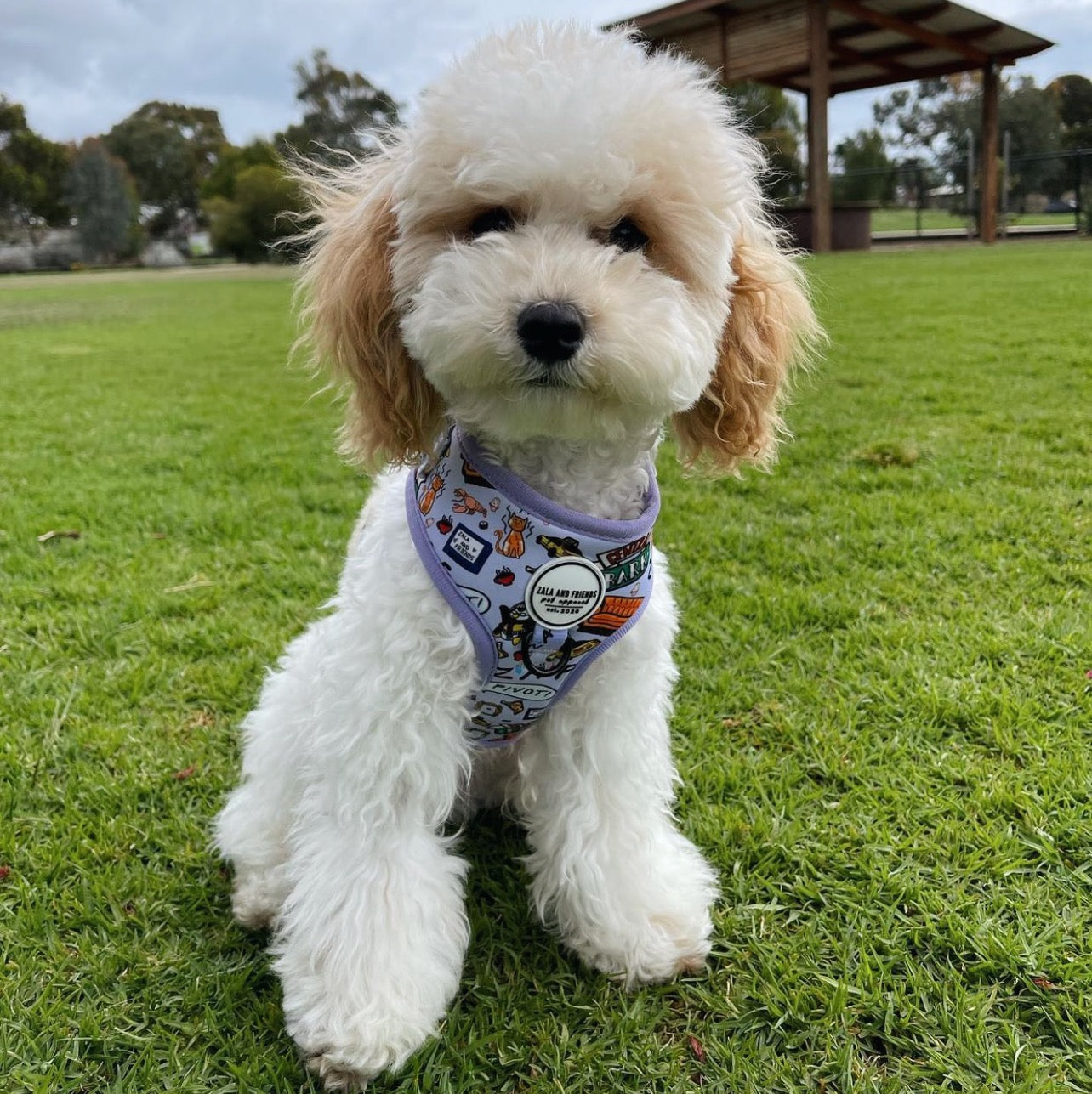 WE WERE ON A BARK!: Adjustable Harness