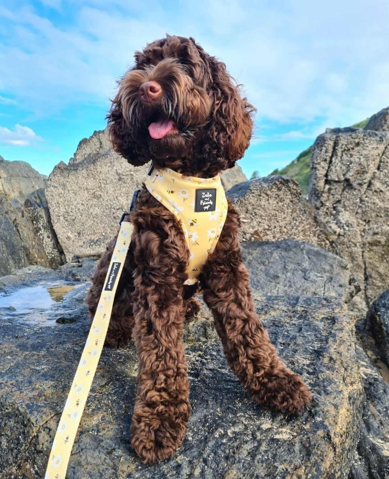 LAST SALE - ADJUSTABLE HARNESS: Bee Friendly