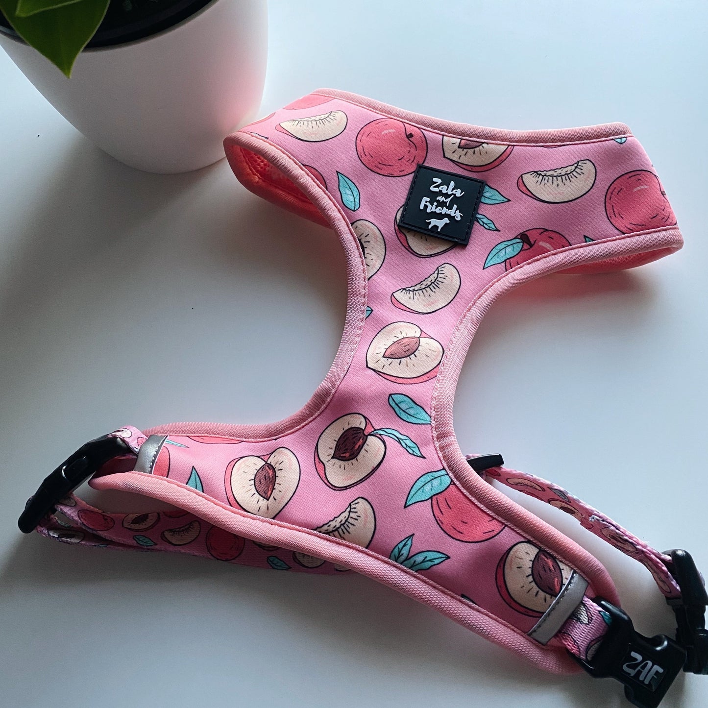 LAST SALE - REVERSIBLE HARNESS: Feelin' Fruity (Please read description)