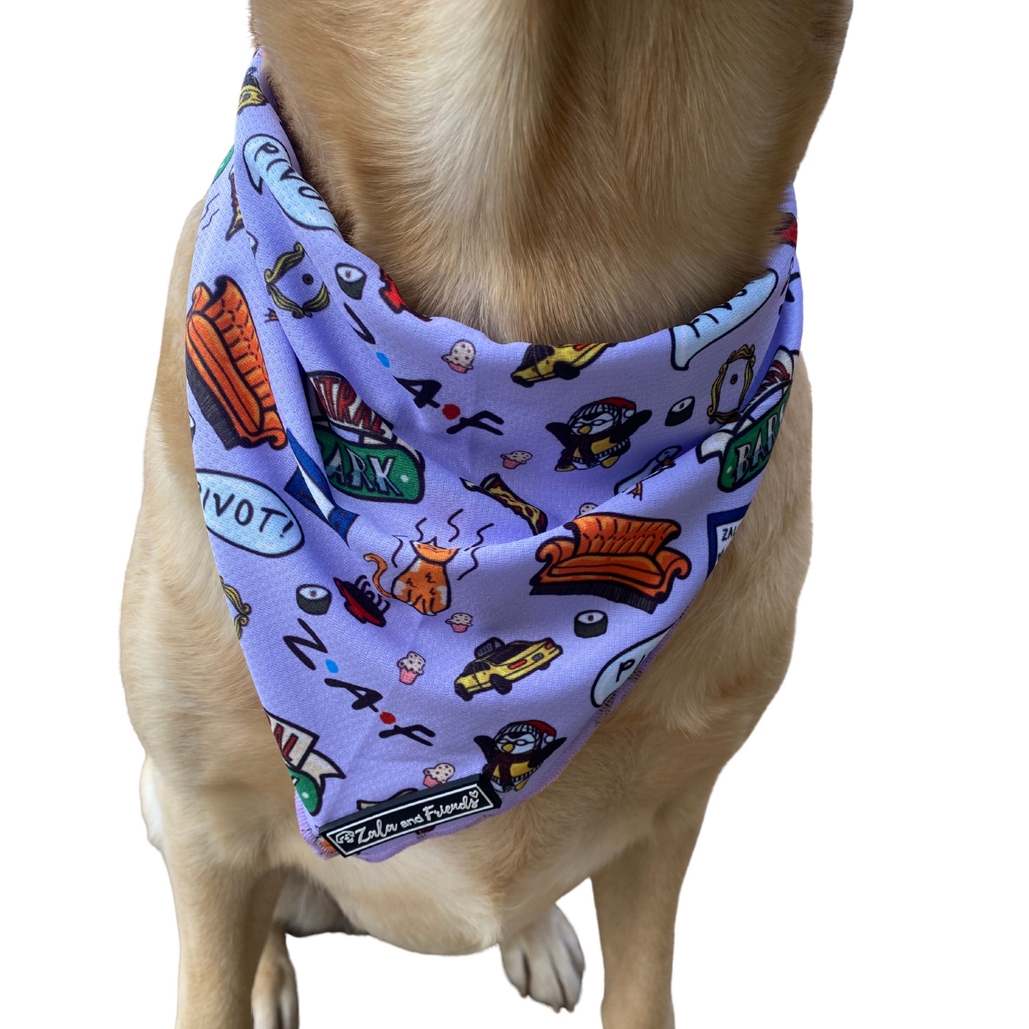WE WERE ON A BARK!: Bandana
