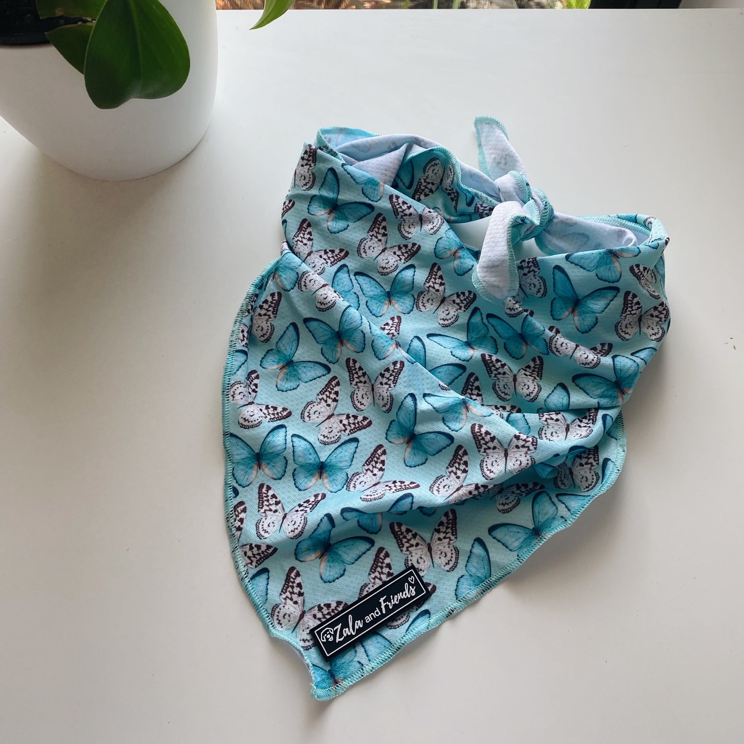 You Give Me Butterflies: Bandana