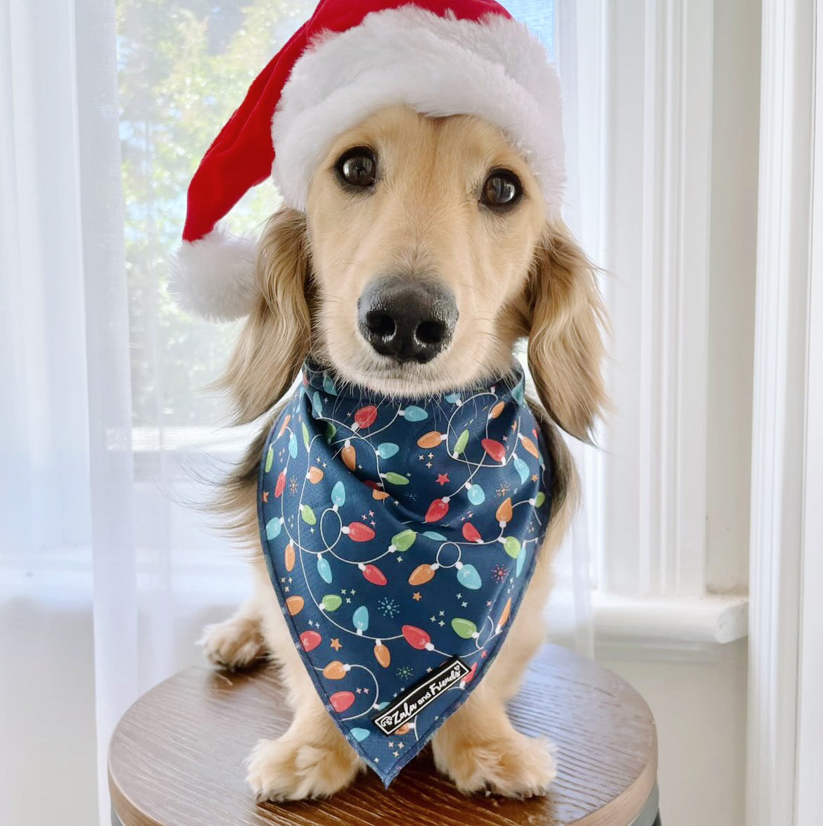 LAST SALE - Deck the Halls (CHRISTMAS EDITION): Bandana