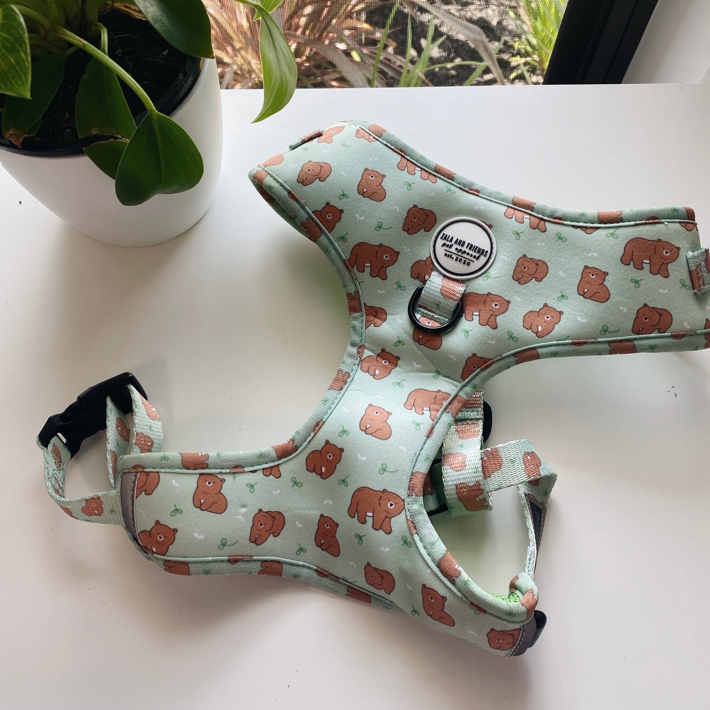 Beary Cute: Adjustable Harness