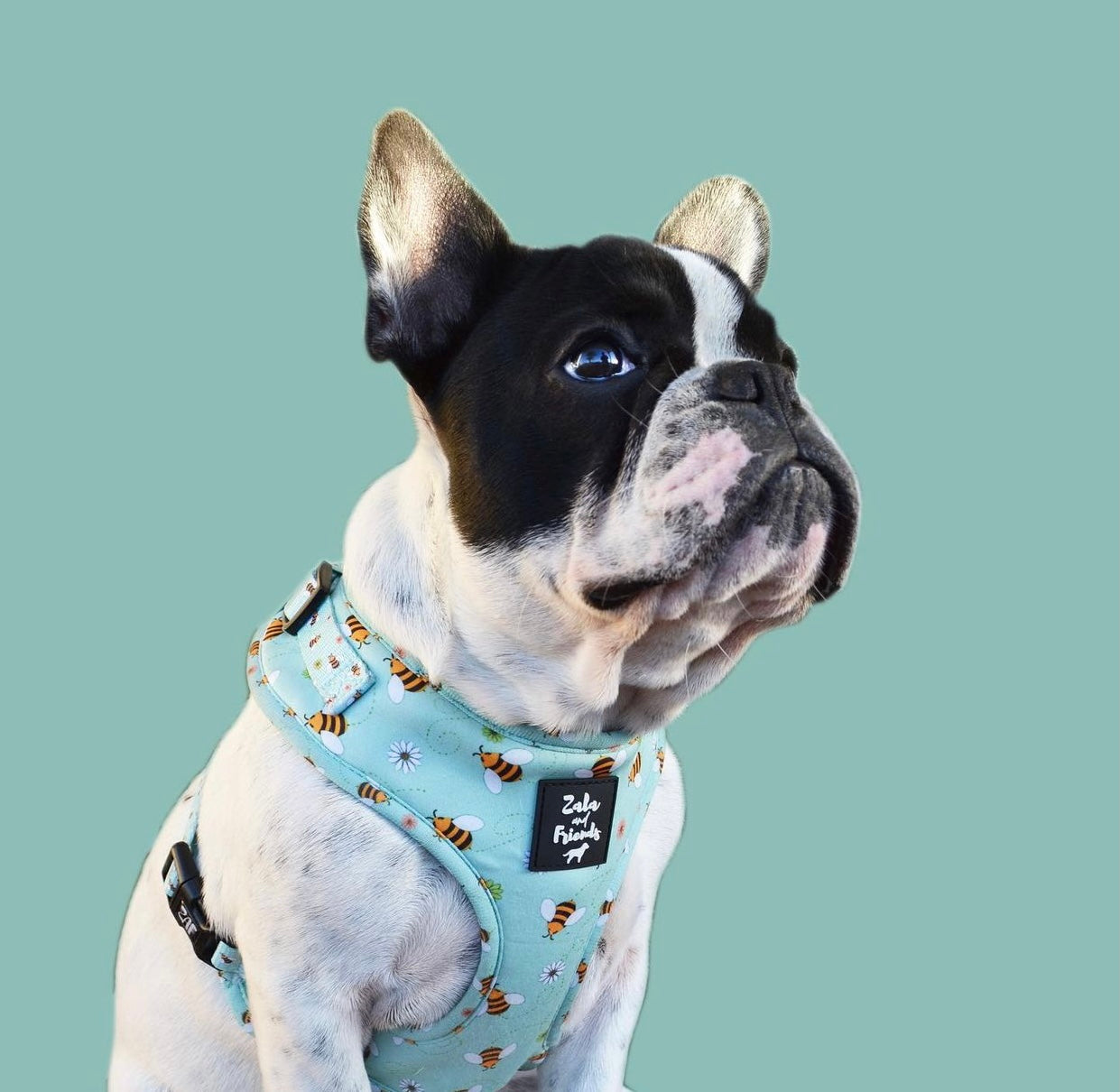 LAST SALE - Blissfully Buzzin': Adjustable Harness