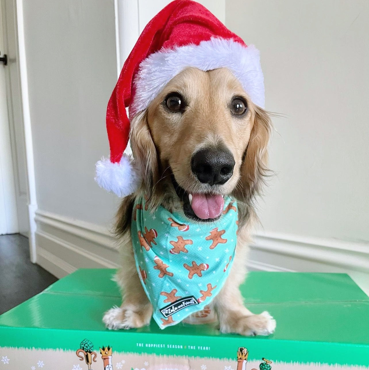 LAST SALE - Can't catch me! (CHRISTMAS EDITION): Bandana