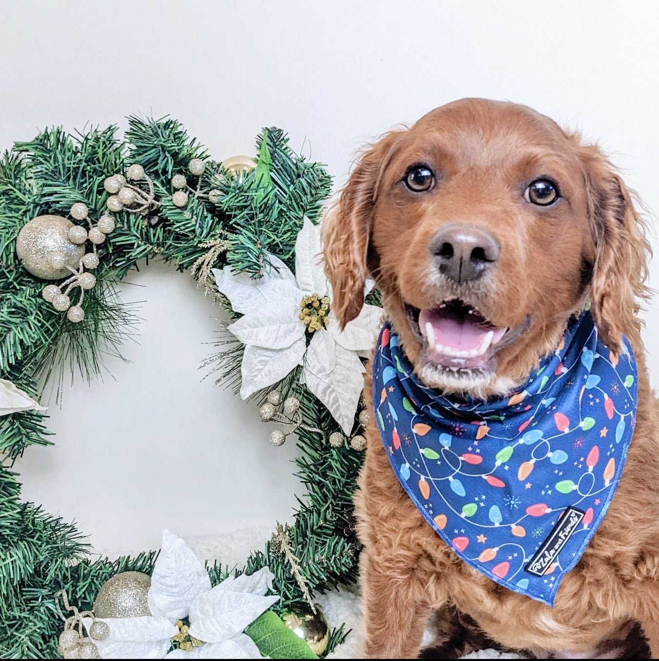 LAST SALE - Deck the Halls (CHRISTMAS EDITION): Bandana