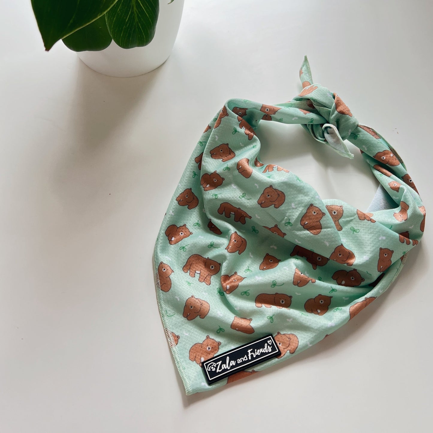 Beary Cute: Bandana