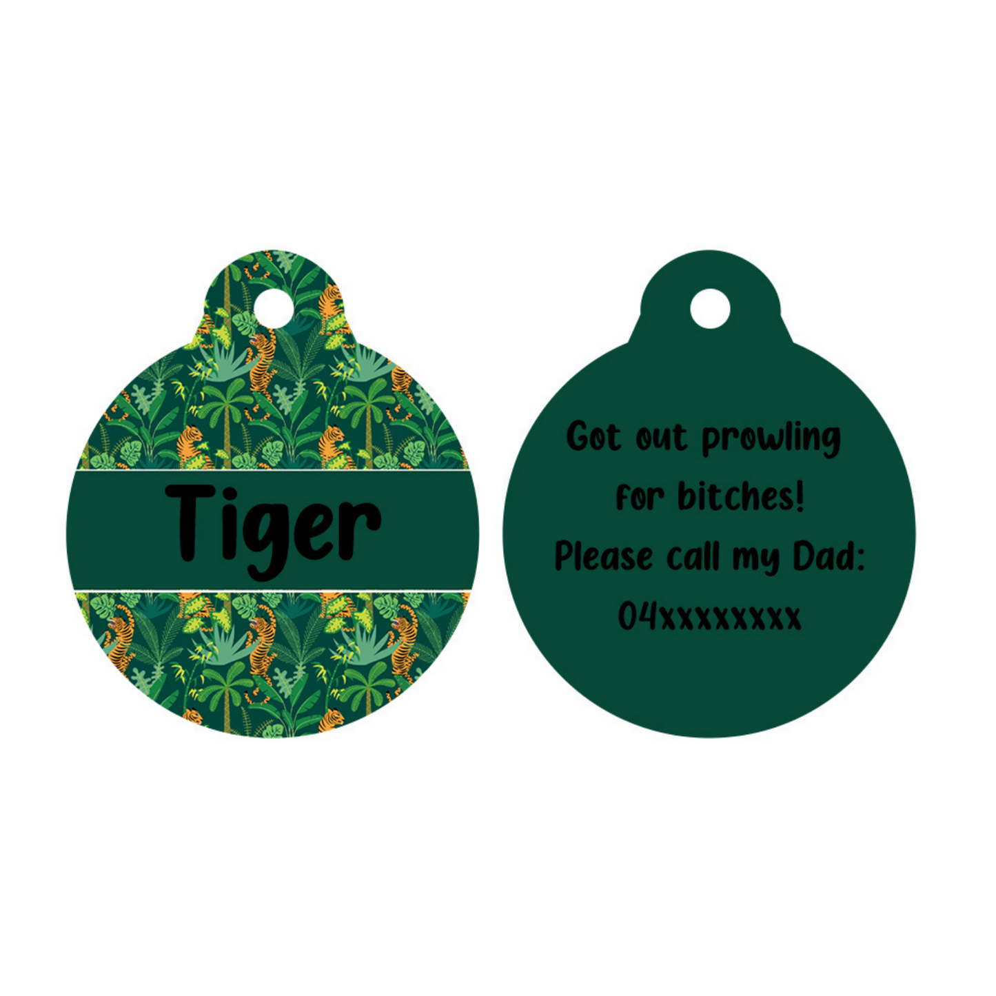 You're ROARsome! - Pet Tag